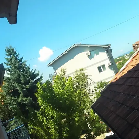 Vlasta *