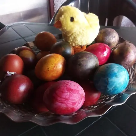 Vlasta Vendégház Sokobanja