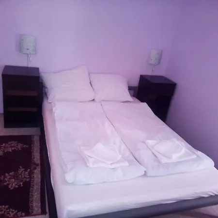 Гостевой дом Vlasta Сокобаня
